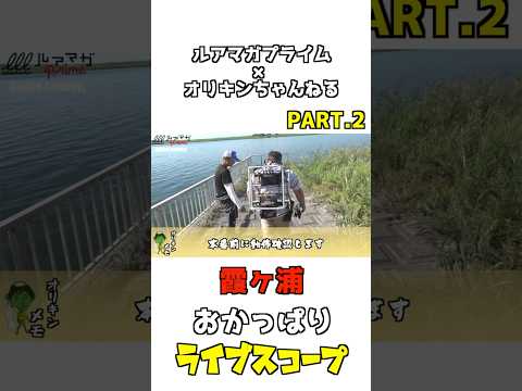 ライブスコープおかっぱりPART.2【ルアマガプライム✖︎オリキンちゃんねる】