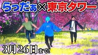 らっだぁさん東京タワーでイベントやってるってマ？？？？【実写】