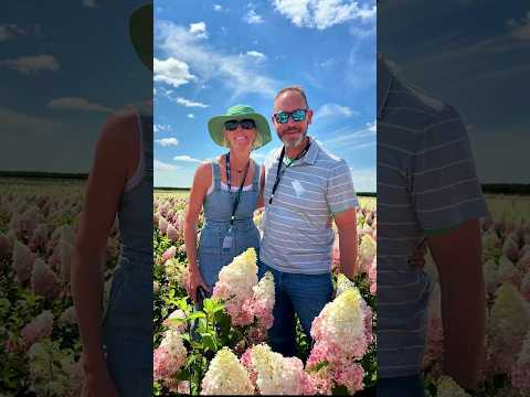 Unbelievable Hydrangeas and Plant Tour #shorts #hydrangea