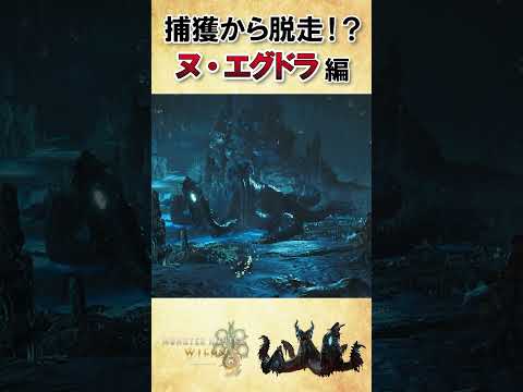 【6000再生突破】捕獲して眺めてたら逃走したヌエグドラ #shorts  #ワイルズ #ヌエグドラ