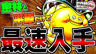 【DQMJ2P】超序盤！密林・平原だけでゴールデンスライムは生まれるのか？検証してみた！【ドラクエモンスターズゆっくり実況】