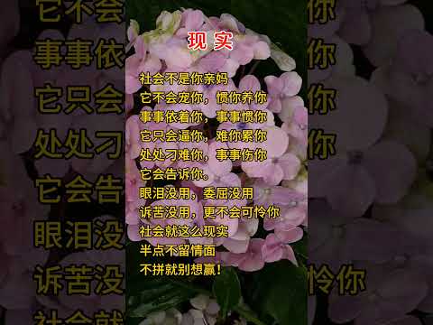 #子夜說#人生感悟 #中老年心語 #正能量 #幸福人生 #正能量 #深夜讀書 #情感 #子夜讀書