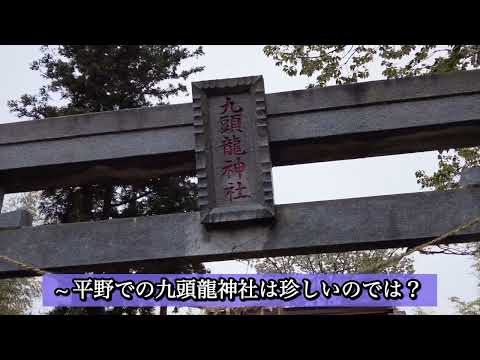 雨の九頭龍神社 千葉県印西市ジョイフルホンダ裏