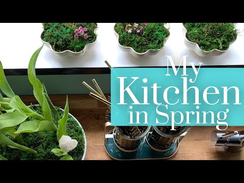 My Kitchen for SPRING ✣ Decorate with Me ✣ Coffee Bar Decor Idea 2024 - Seasonal Inspiration!