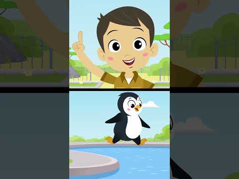 Fly Like a Penguin! ABCmouse #education #learning #letsplay #musicvideo #song #abcmouse #animals