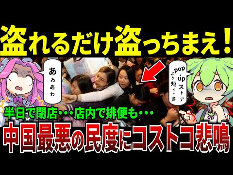 【実話】中国にコストコ開店！わずか半日で閉店【ずんだもん＆ゆっくり解説】