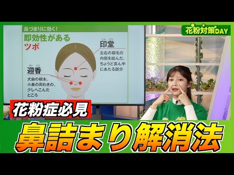 【花粉症対策】簡単に鼻づまりを治す方法