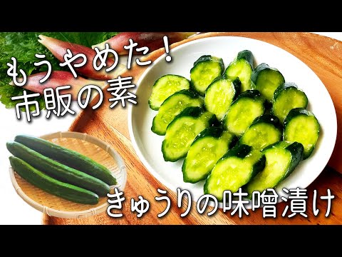 【きゅうりの味噌漬け】 1日で完成！ 切って調味料に漬けるだけで超簡単！ ご飯が止まらない 作り置き きゅうり レシピ 夏野菜 漬け きゅうり 味噌 漬け アレンジ