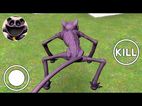 NIGHTMARE CATNAP HUNTED FOR ME (POPPY PLAYTIME 4?) in Garry's Mod!