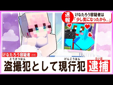 🌈けなたろう君が女の子の裸を盗撮して逮捕されました... 【まいくら / マインクラフト】