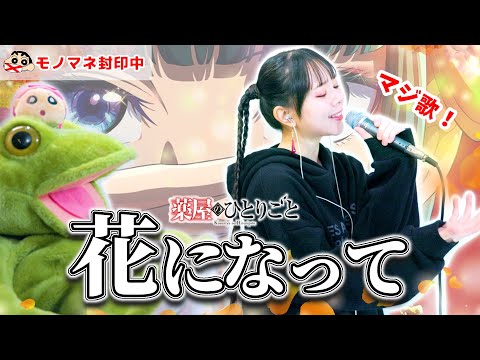 『花になって/緑黄色社会』【薬屋のひとりごと】全力で歌ってみた︎【しんちゃんとピアノとカエル取り上げてみた】