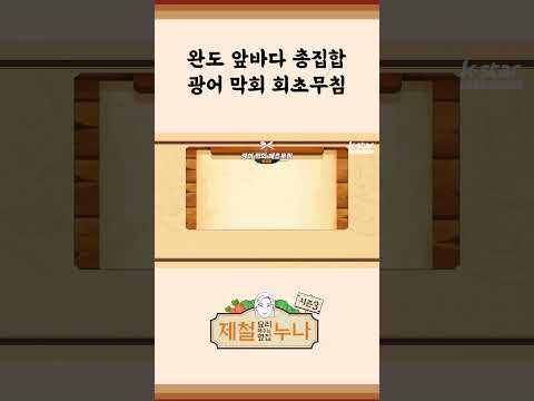 [제철 요리 모음집_시즌3] 완도 앞바다 총집합! 광어 막회 회초무침 | 제철누나