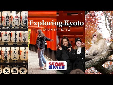 Japan Day 2 | Fushimi Shrine | Monkey Mountain | Bamboo Forest | 일본 2일차 | 후시미 이나리 신사 | 원숭이 산 | 대나무 숲