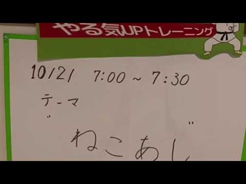 【初級】自宅で簡単「ねこ足立ち」が上達する15分トレーニング