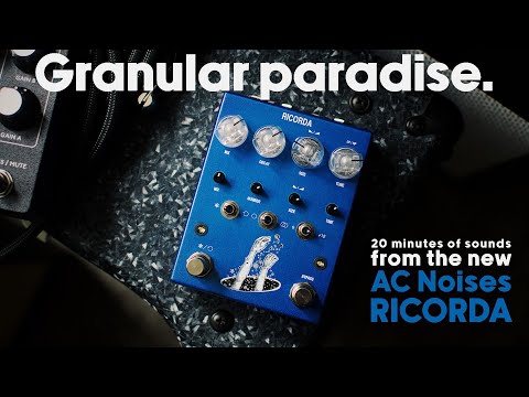 AC Noises RICORDA - Stereo Granular Reverb with Looper & Freeze (no talking)