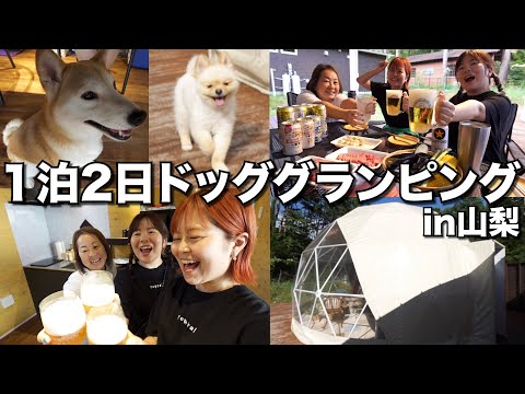 ドッググランピングが楽しすぎて最高の夏の思い出🐶🏕️