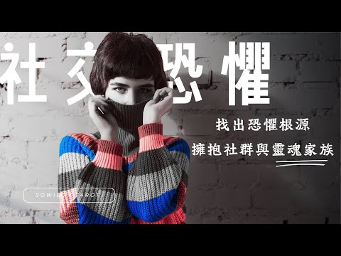 社恐突破！E人養成占卜♣️改善社交恐懼·迎接靈魂家族｜不完美講師Sowilo