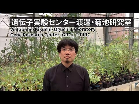 渡邉・菊池・小口研究室 (T-PIRC遺伝実験センター)