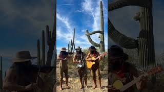 Saguaro String Band. #fiddle #banjo #guitar #saguaro #folk #bluegrass