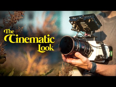 In Search of THE 'CINEMATIC' LOOK | Anamorphic on Gimbal Review