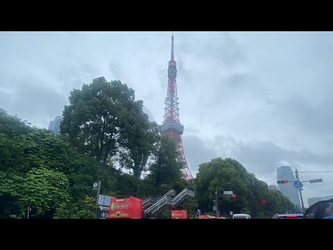 Thrilling Rainy Ride: Street Karting in Tokyo Bay Near Tokyo Bridge - Summer 2024 Live Footage!🌧️🏎️