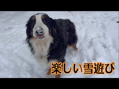 Amy playing in the snow is so cute!