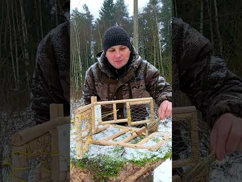 THE BEST TRAP IN THE WORLD  #trap #survival #trapping