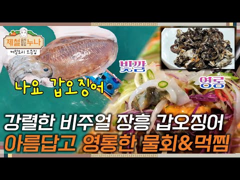 [제철 요리 모음집_시즌3] 강렬한 비주얼의 장흥 갑오징어! 아름답고 영롱한 물회 & 먹찜 | 제철누나