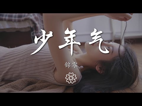 錦零 - 少年氣『你我少年性 偏愛紅塵煙火氣』【動態歌詞Lyrics】