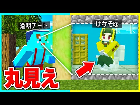 透視チートを使ってお兄ちゃんのトイレの中をのぞくwww 【まいくら / マインクラフト】