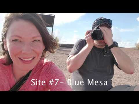 The Petrified Forest ROCKS!