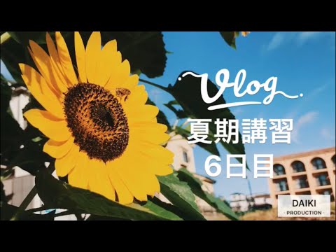 エイメイ学院 夏期講習の1日【6日目】