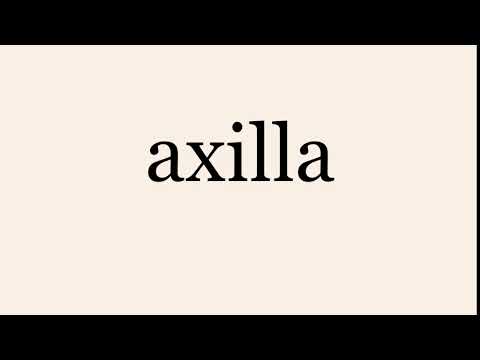 axilla