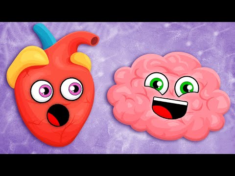 Learn About The Most Powerful Parts Of Your Body! | Human Body Songs For Kids | KLT Anatomy