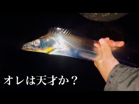 真冬のアジングの筈が…衝撃の新釣法を編み出してしまった