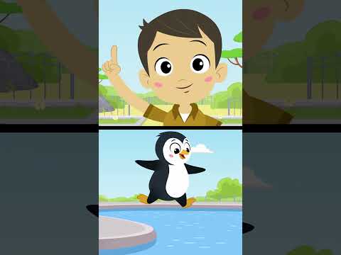 Fly Like a Penguin! ABCmouse #education #learning #letsplay #musicvideo #song #abcmouse #animals