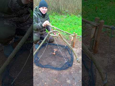 A TRAP IN TWENTY MINUTES  #trapping #trap #survival