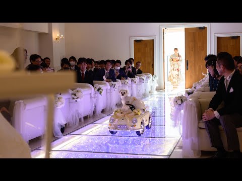 【wedding story】episode39