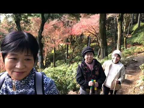 ハーモニー旅クラブ年忘れツアー　大興禅寺　本福寺　王仁博士顕彰公園