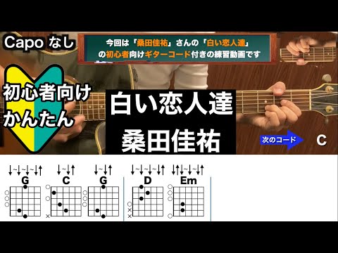 白い恋人達/桑田佳祐/ギター/コード/弾き語り/初心者向け/簡単