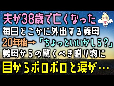 【感動する話】夫が38歳で亡くり毎日どこかに外出する義母の不審な行動。20年後→「ちょっといいかしら？」義母からの驚くべき贈り物に目からボロボロと涙が・・・（泣ける話）感動ストーリー朗読