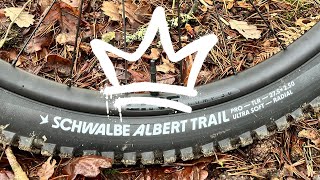 Are Schwalbe Albert radial Trail Pro tyres  REALLY Worth the Hype?