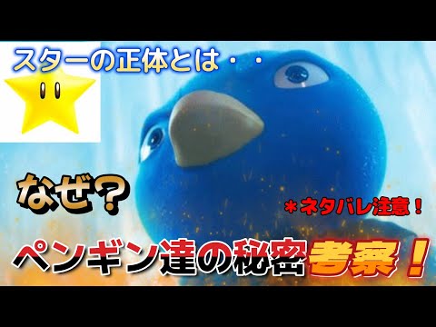 なぜ？ペンギンとスター考察！