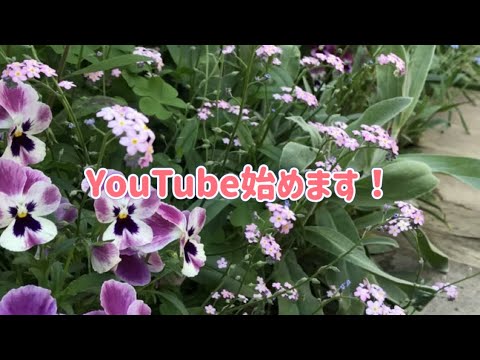 ＊料理や日々の生活＊YouTube始めます！