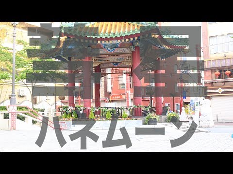 【芝健】彗星ハネムーン 踊ってみた【オリジナル振付】