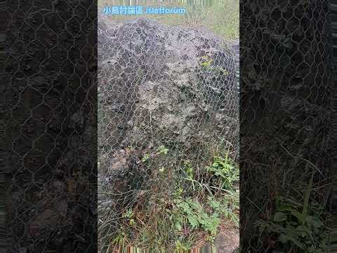 大雨後小瀑布 small waterfall after heavy rain mhp3924 aug2024