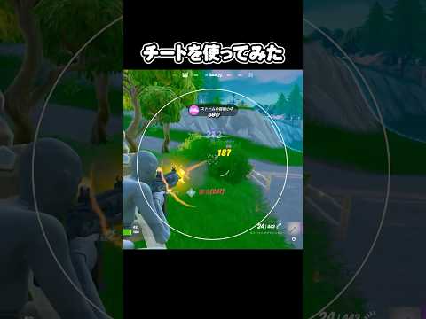 (ネタ)チートを使ってみた【Fortnite/フォートナイト】 #あおけんゲーム実況 #fortnite #フォトナ #フォートナイト #ふぉーとないと #チート