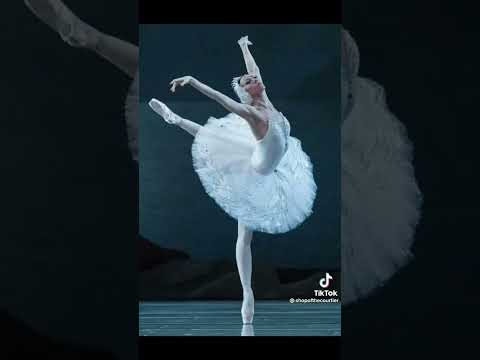 Ballet Core (shopofthecourtier)