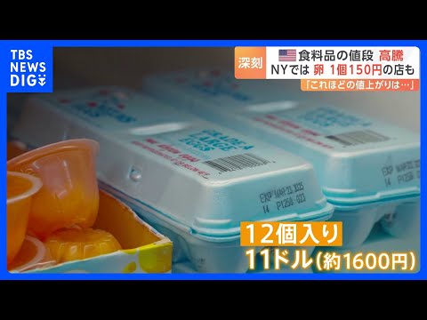 卵の値段、アメリカで深刻な状況に　1個150円「高すぎて買えない」｜TBS NEWS DIG