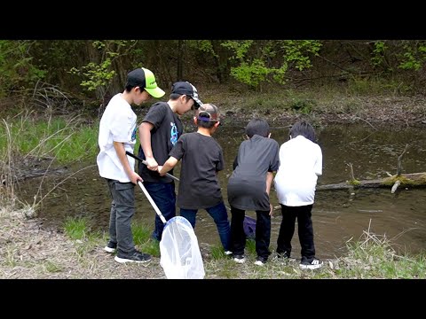 小学生が森で見つけたもの